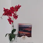 Orchidea * Veszprém