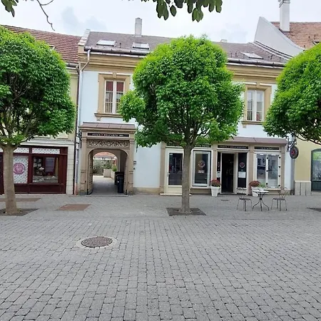 Orchidea Veszprém