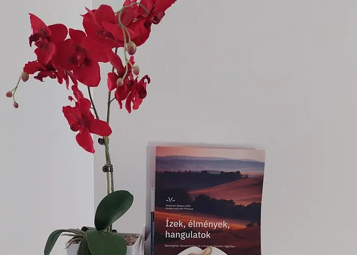 Orchidea * Veszprém